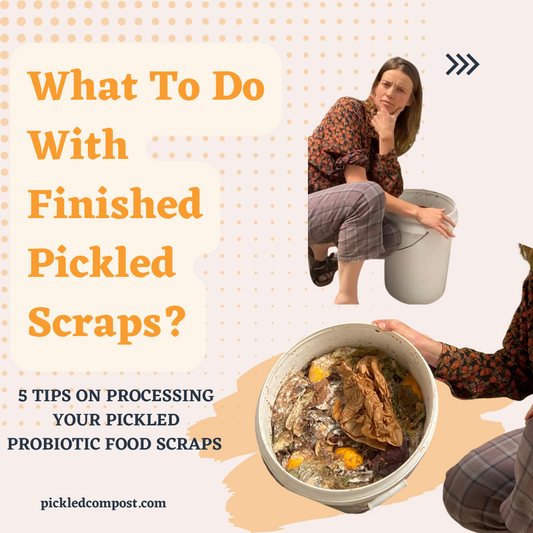 5 Tips to Process and Use Pickled Food Scraps (Finished Bokashi)